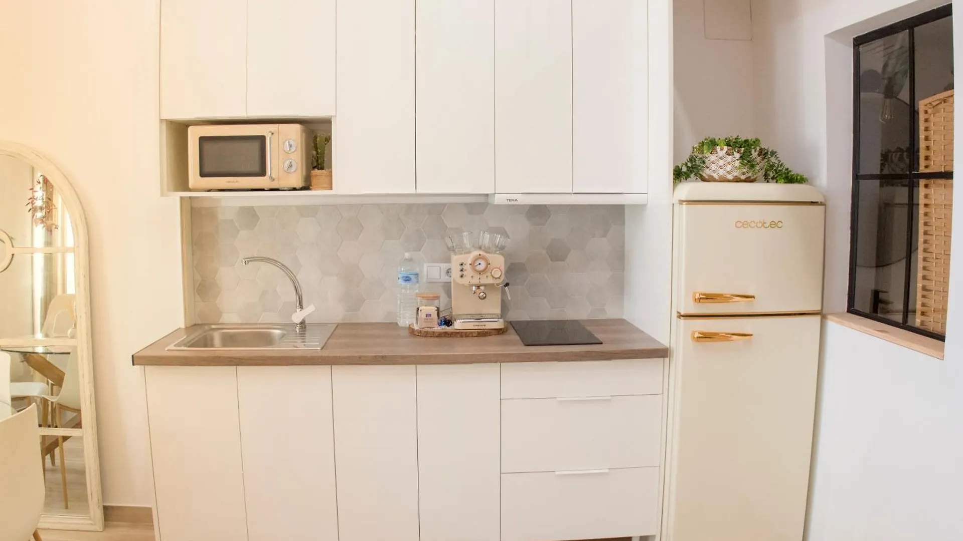 Agua Viva Deluxe Apartment Malaga